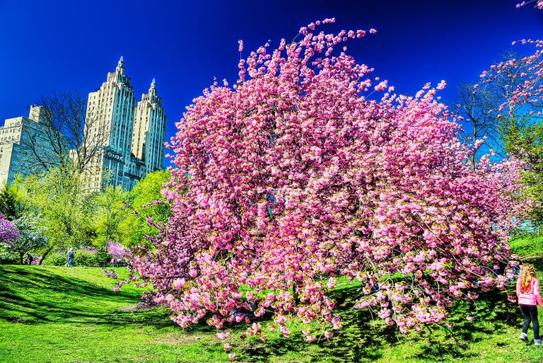 Marla Korr - Bethesda Terrace Arcade (Central Park) For Sale at 1stDibs   central park arcade, bethesda terrace gossip girl, gossip girl central park  fountain