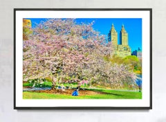 Cherry Blossoms  in Bloom, Urban Garden of Central Park  with The San Remo