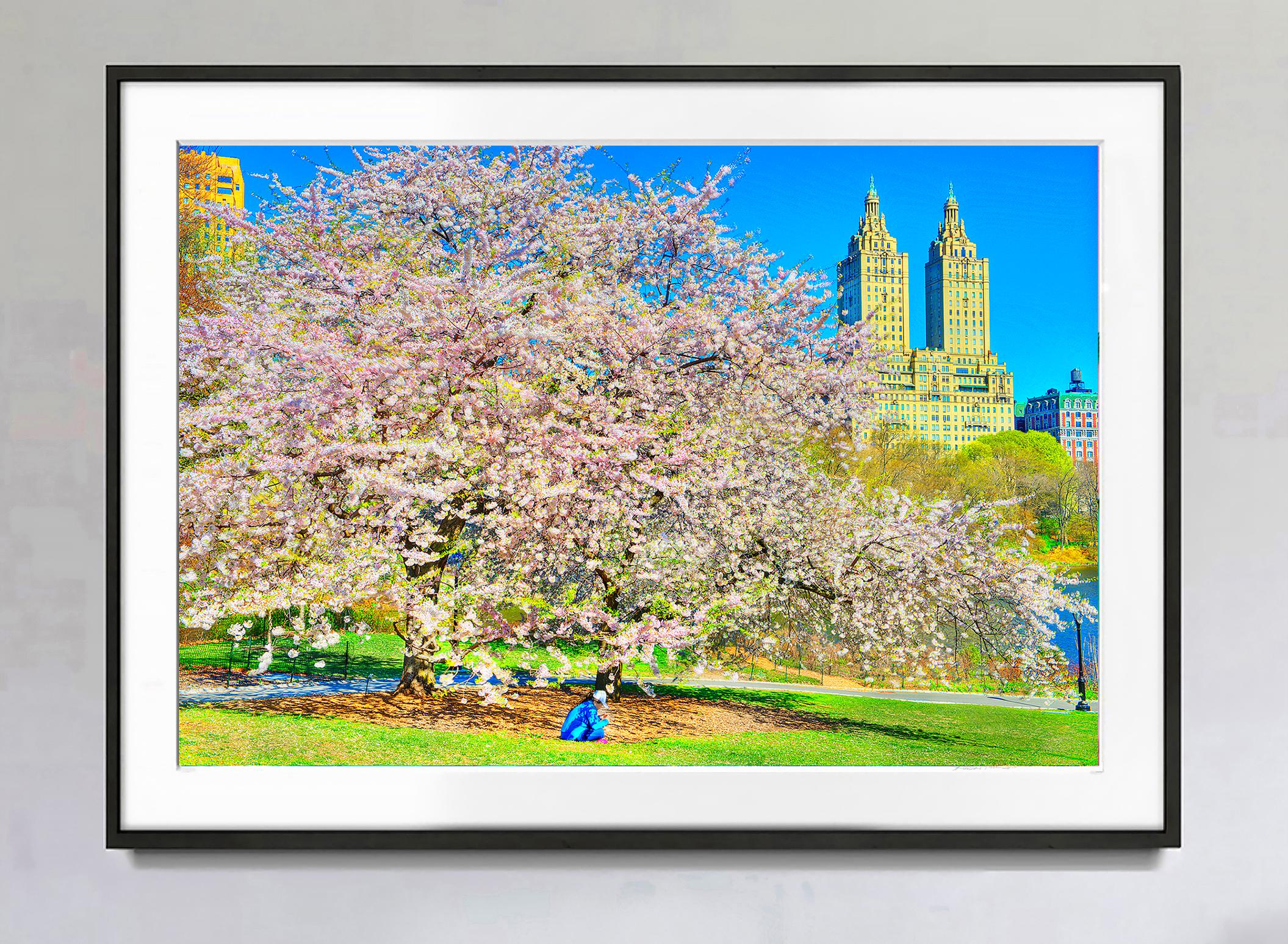 Zeitlose Kirschblüten im Central Park  Vorkriegsarchitektur – Photograph von Mitchell Funk