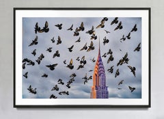 Chrysler Building avec une volée d'oiseaux s'élançant vers le ciel Hahnemuhle Print