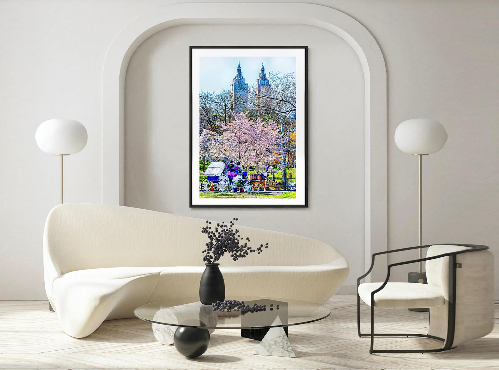 Classic Old New York, Vintage Central Park - Gray Landscape Photograph by Mitchell Funk