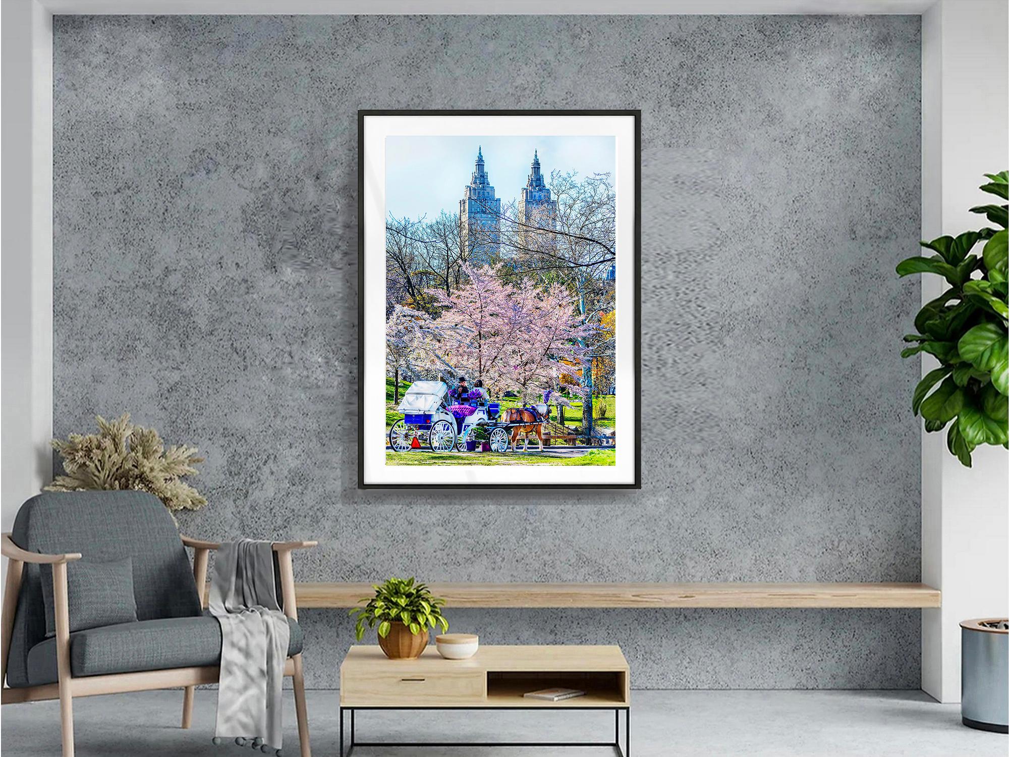 Classic Old New York, Vintage Central Park For Sale 1