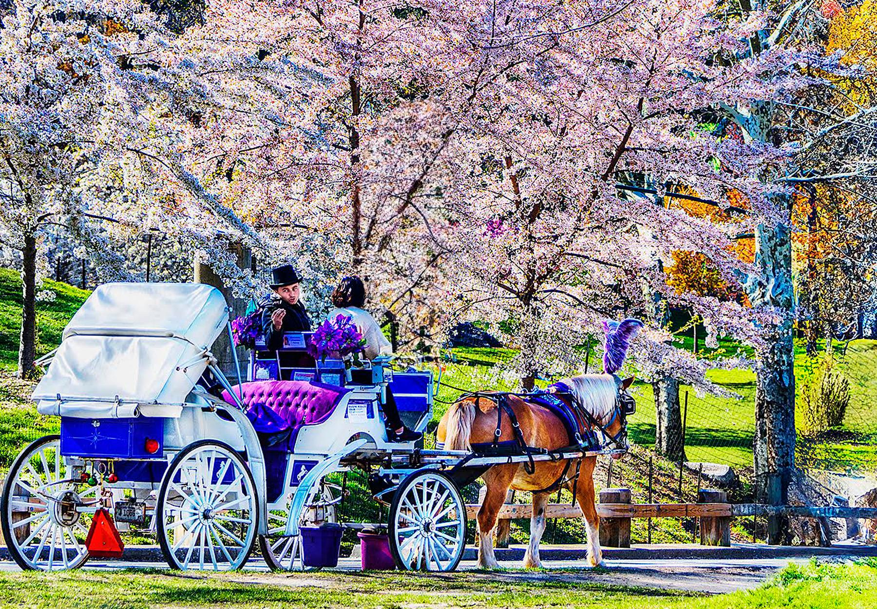 Classic Old New York, Vintage Central Park For Sale 3