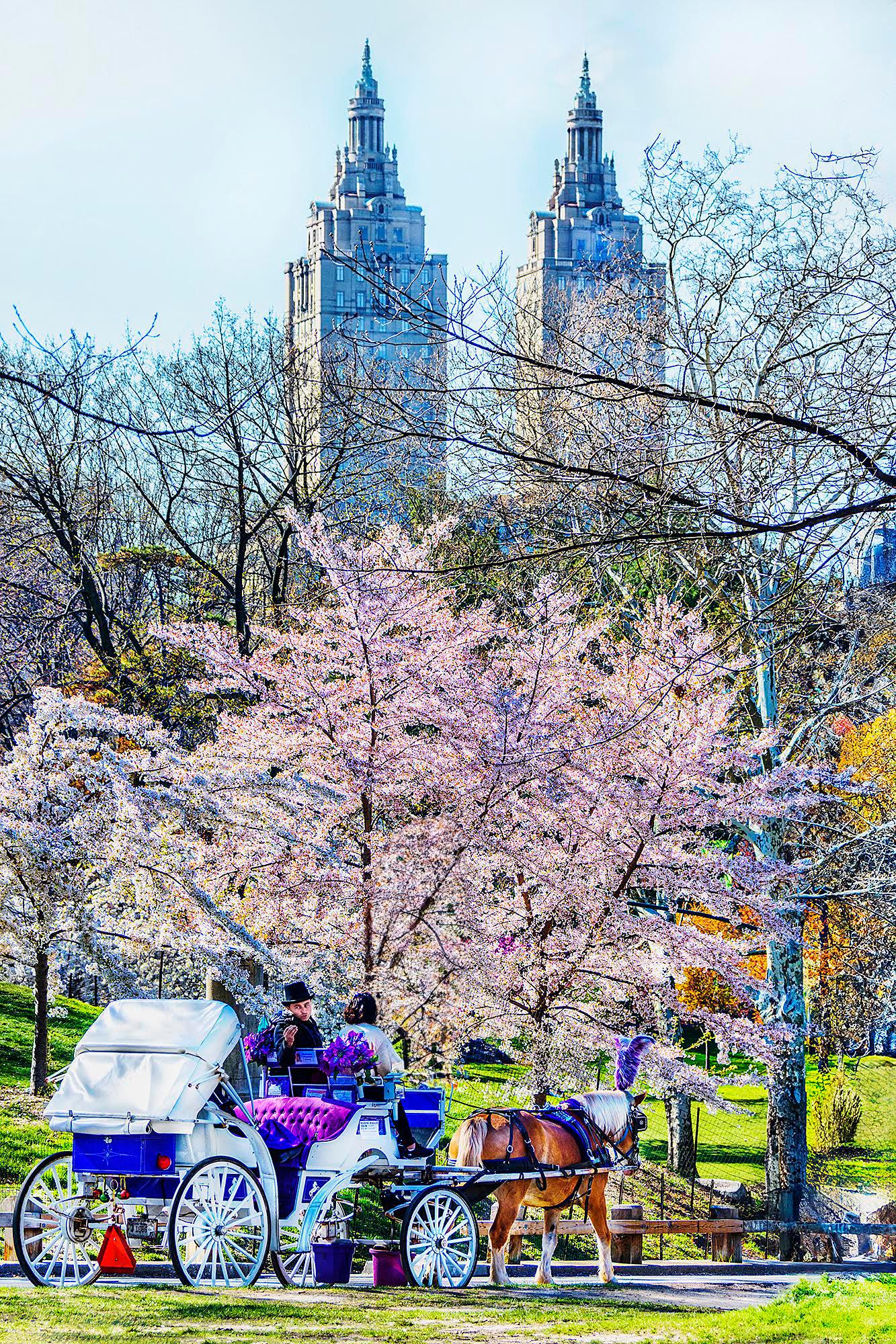 Classic Old New York, Vintage Central Park For Sale 4