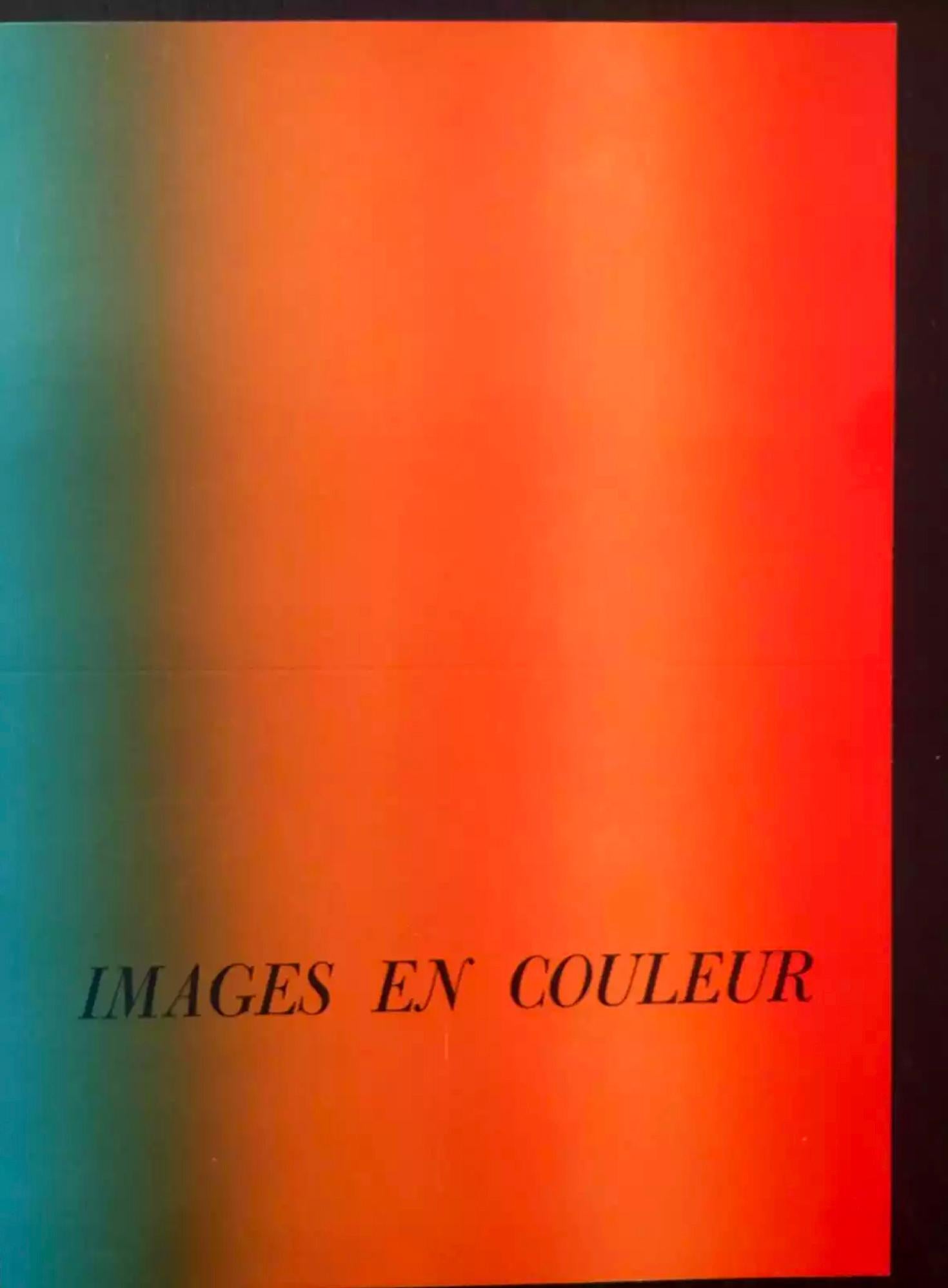 Fotografía en color Abstracción de banco de parque en Central Park  -  Museo de Brooklyn en venta 1