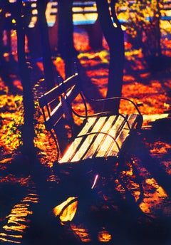 Color Photography Abstraction of Park Bench in Central Park  -  Brooklyn Museum 