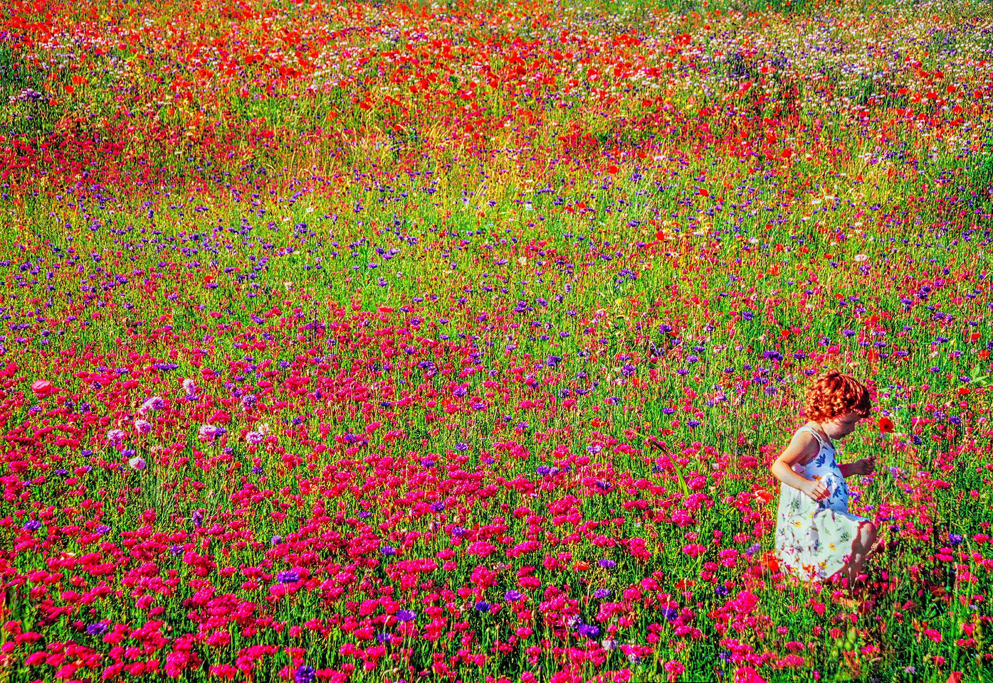 Mitchell Funk Abstract Photograph - Colorful Field of Flowers with Redhead Child - East Hampton Like Monet