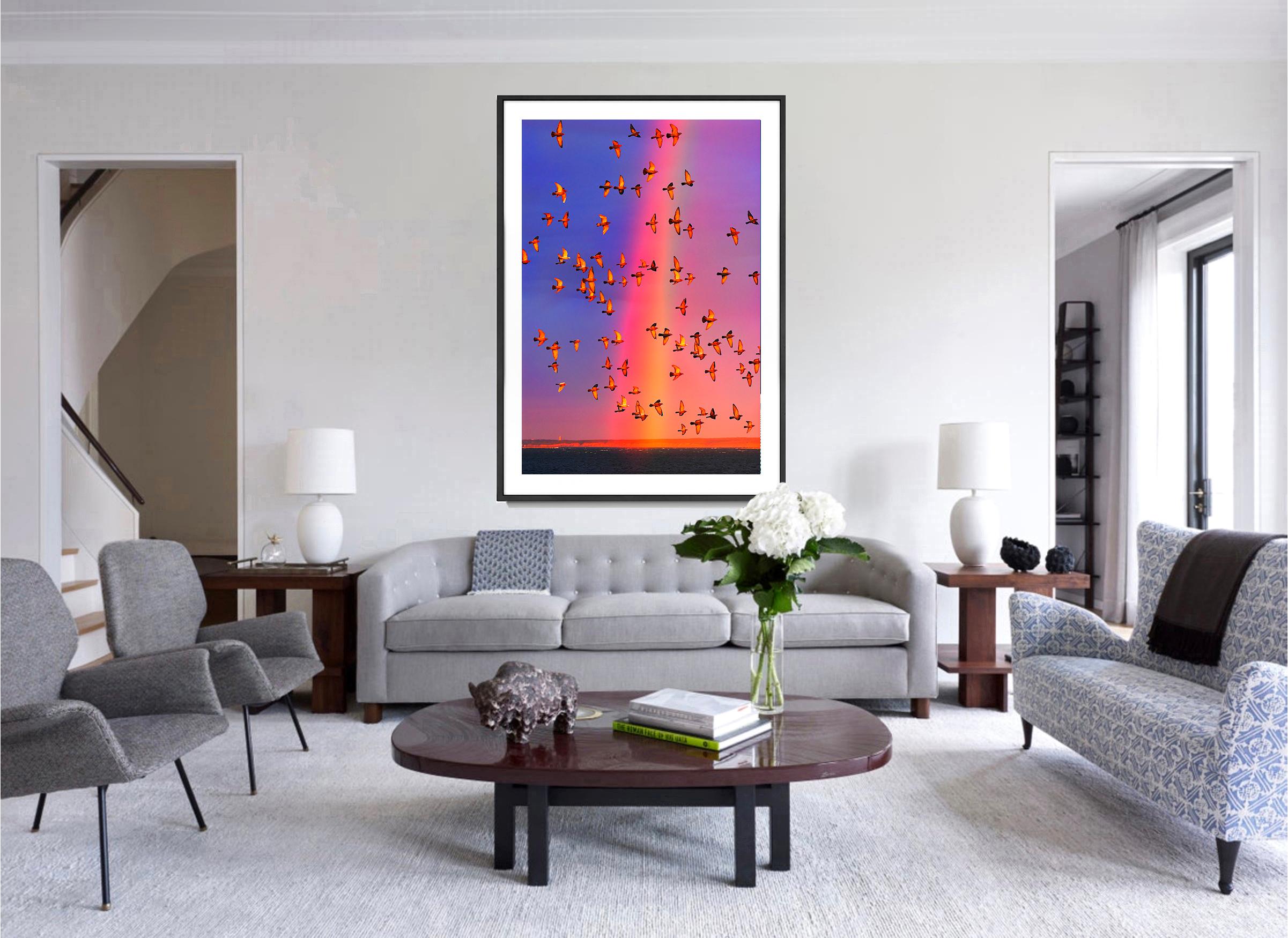 Arco iris de colores con bandadas de pájaros en East Hampton, símbolo de unión - Abstract Photograph Rosa de Mitchell Funk