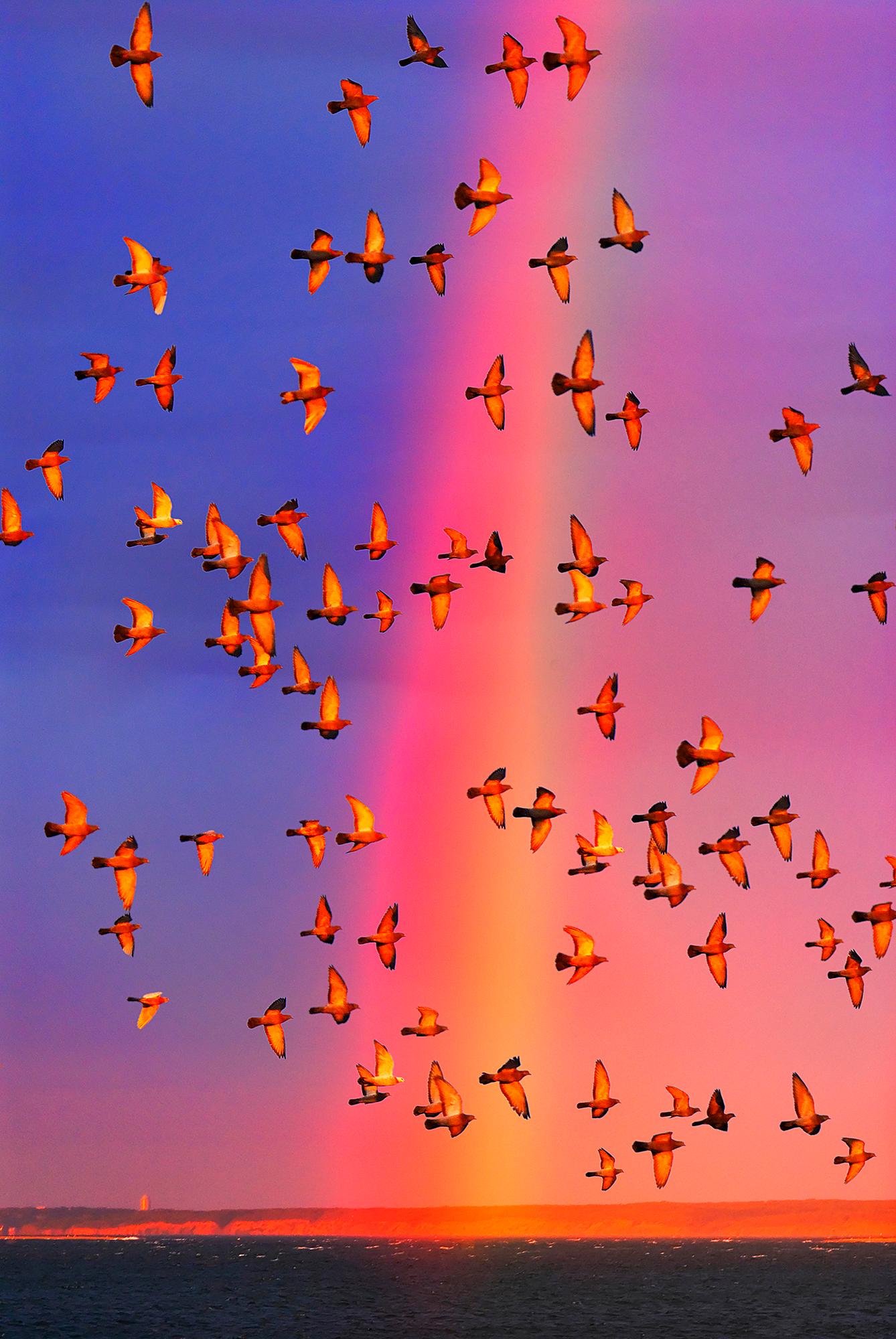 Abstract Photograph de Mitchell Funk - Arco iris de colores con bandadas de pájaros en East Hampton, símbolo de unión