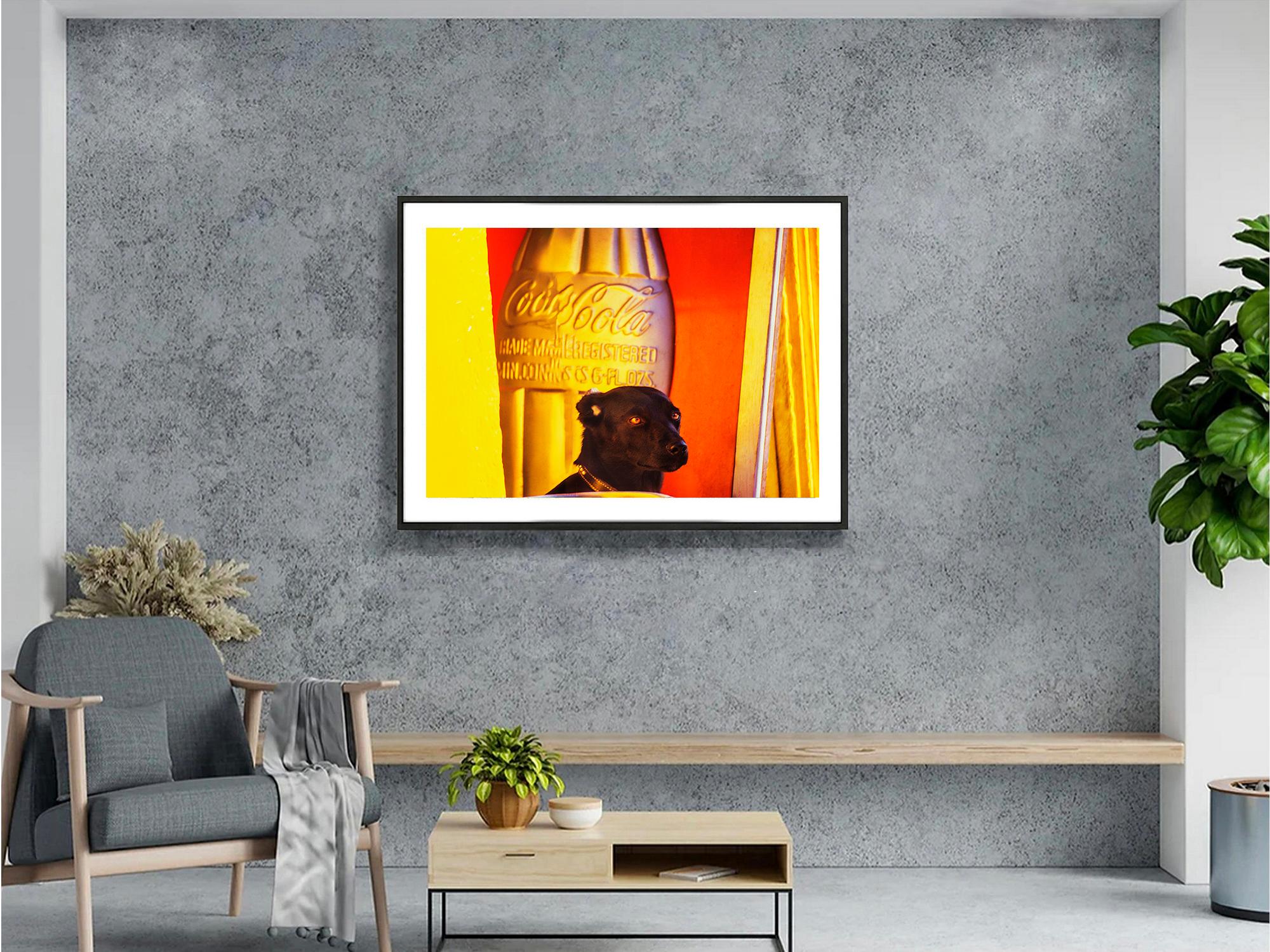 Cute Black Dog Against a Graphic Yellow Orange Wall in Mexico - Color-Field Photograph by Mitchell Funk
