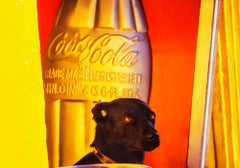Retro Cute Black Dog Against a Graphic Yellow Orange Wall in Mexico