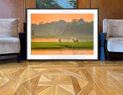 Ciervo Louse Point East Hampton en Ginger Sky - Esplendor de la naturaleza
