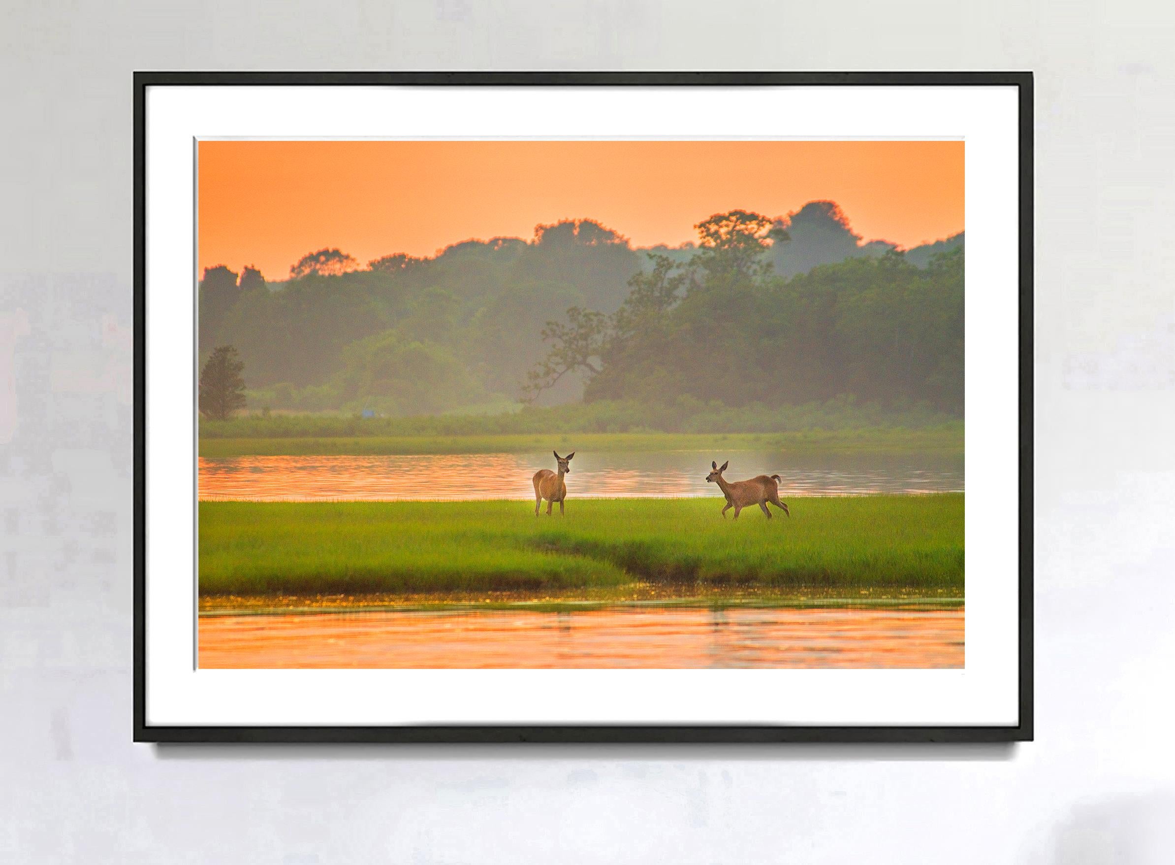 Nature's Splendor is captured with deer grazing at sunset on East Hampton's famous Louse Point. 

This image is signed, dated and numbered 3/15 lower right recto. Other sizes are available. The work is unframed and printed later. Printed on