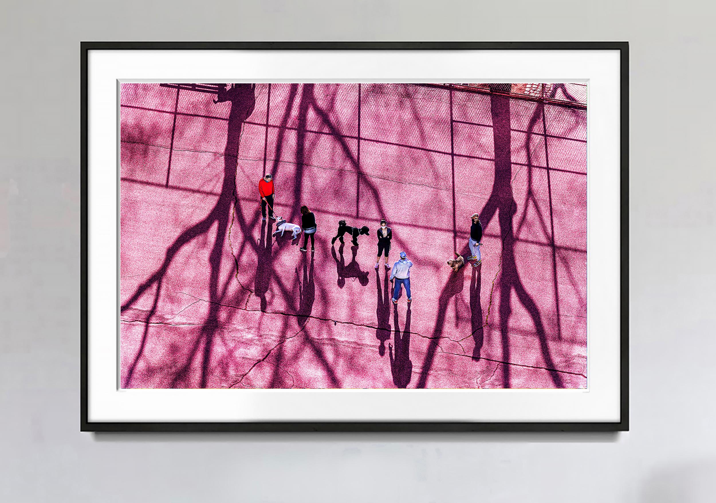 Dog Park in Magenta  - Dogs and People having Fun - Photograph by Mitchell Funk