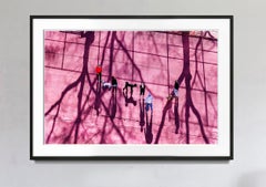 Dog Park in Magenta  - Dogs and People having Fun