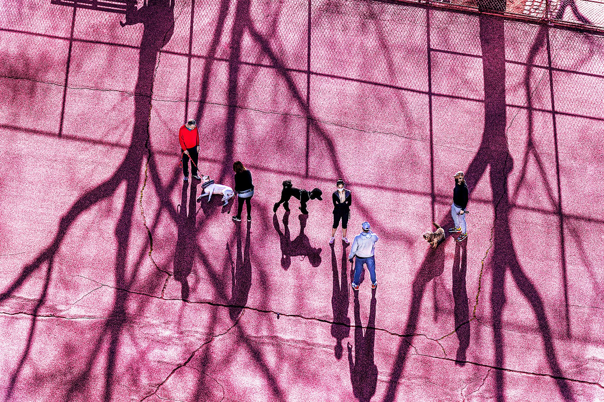 Mitchell Funk Landscape Photograph - Dog Park in Magenta  - Dogs and People having Fun
