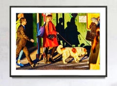 Dog Walker in Magical Golden Light - Color Hunter Photographer