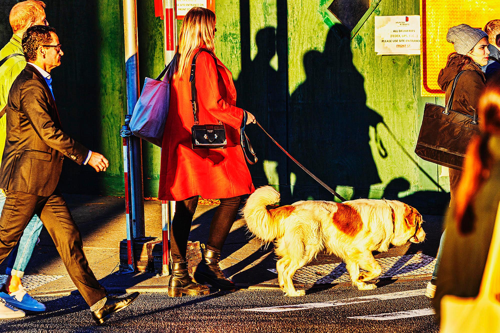 Mitchell Funk Landscape Photograph - Dog Walker in Magical Golden Light - Color Hunter Photographer