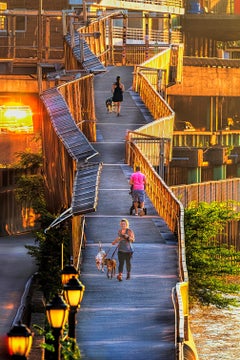 Dog Walkers On FDR Drive Walkway, New York City, Photo Fine Art Print Signed