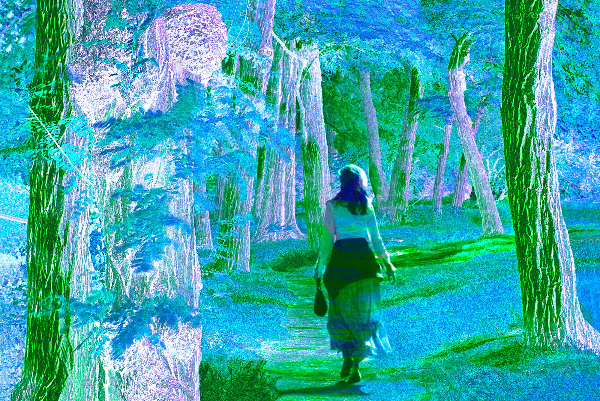 Mitchell Funk Landscape Photograph -  Dream Landscape - Woman Strolls in Fantasy Forest of Blue Green