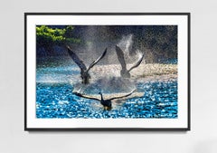 Ducks in Flight with Blue water Droplets