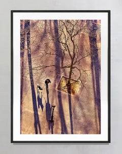 Early Morning Dog Walker With Long Shadows, Fine Art Print Hahnemuhle Paper