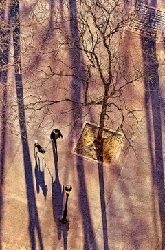Early Morning Dog Walker With Long Shadows, Fine Art Print Hahnemuhle Paper