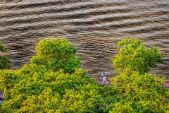 Jogger di prima mattina sull'East River. NYC Stampa Fine Art Hahnemuhle Carta Baryt
