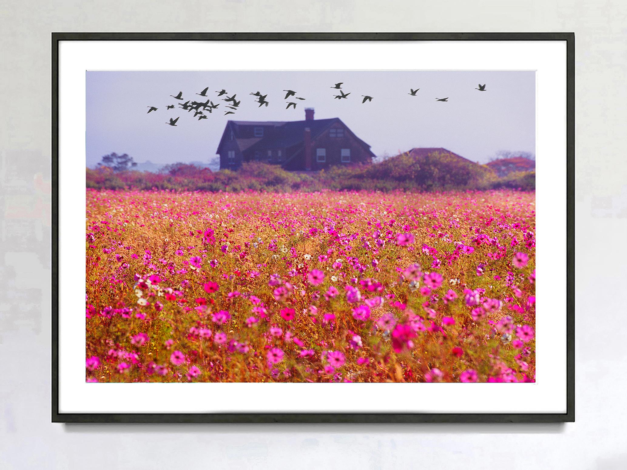 East Hampton Landscape with Field of Pink Flowers and Migrating Birds Monet - Photograph by Mitchell Funk