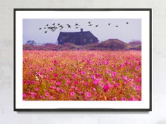 East Hampton Landscape with Field of Pink Flowers and Migrating Birds Monet