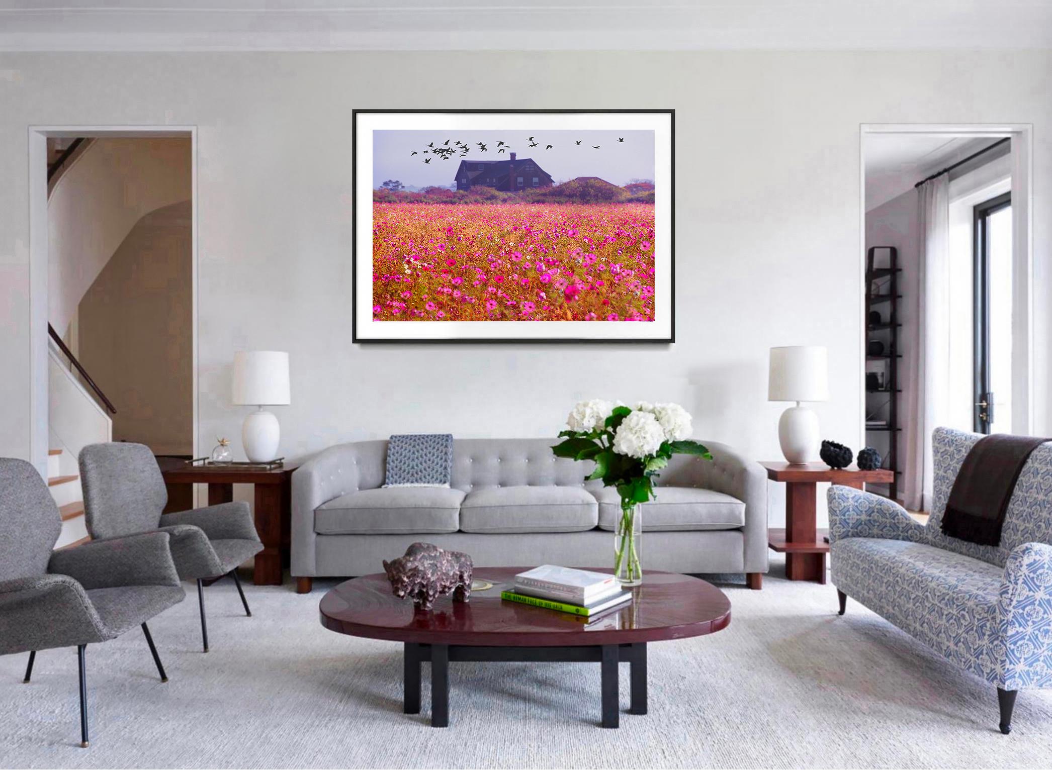 East Hampton Landscape with Field of Pink Flowers and Migrating Birds Monet - Post-Impressionist Photograph by Mitchell Funk