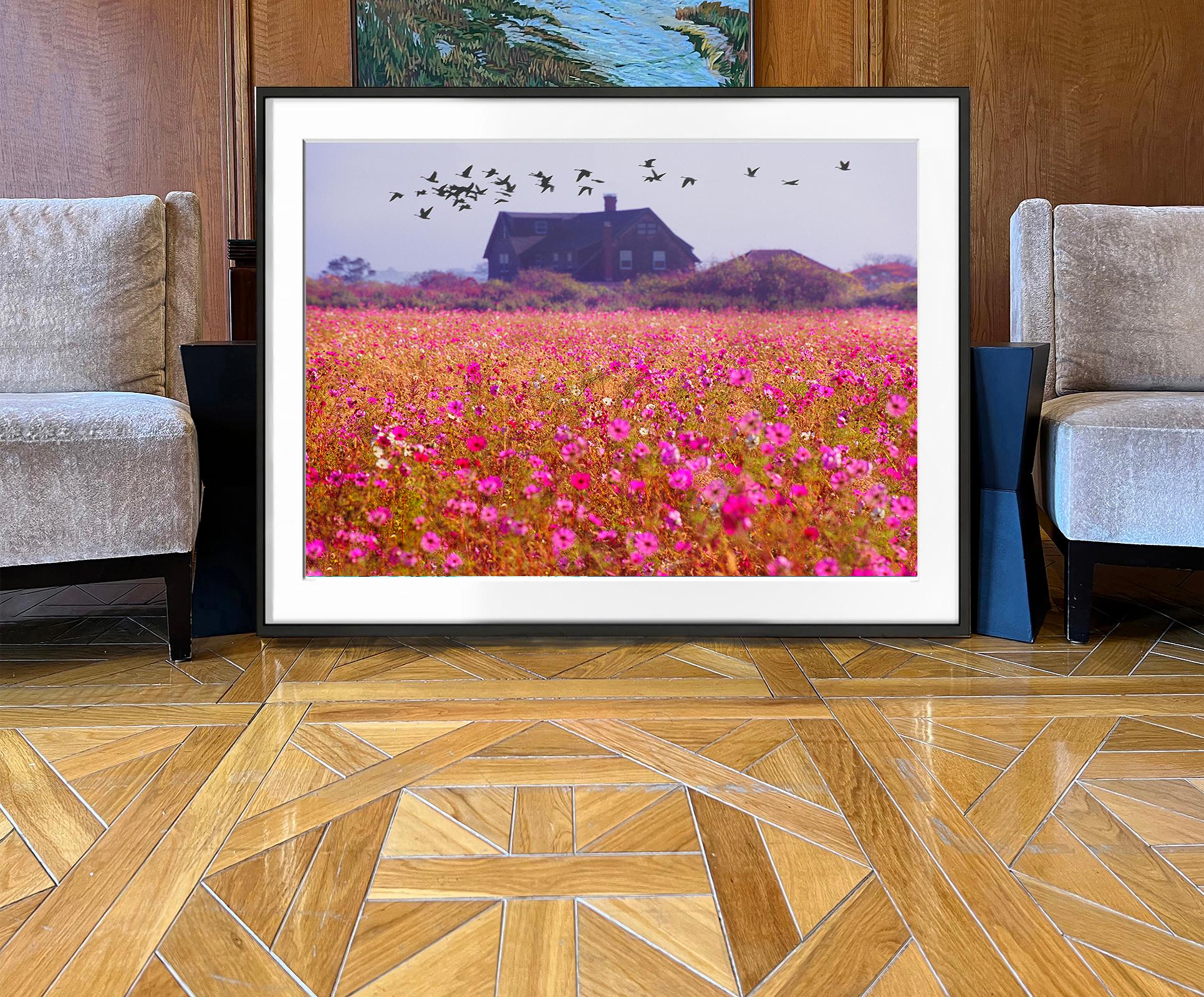 Like a painting by Monet, an expansive field of blooming flowers fill the top two-thirds of the picture plane.  A flock of migrating birds fly over a Shingle-style East Hampton house.
Signed, dated, and numbered lower right  2/4/ unframed, printed