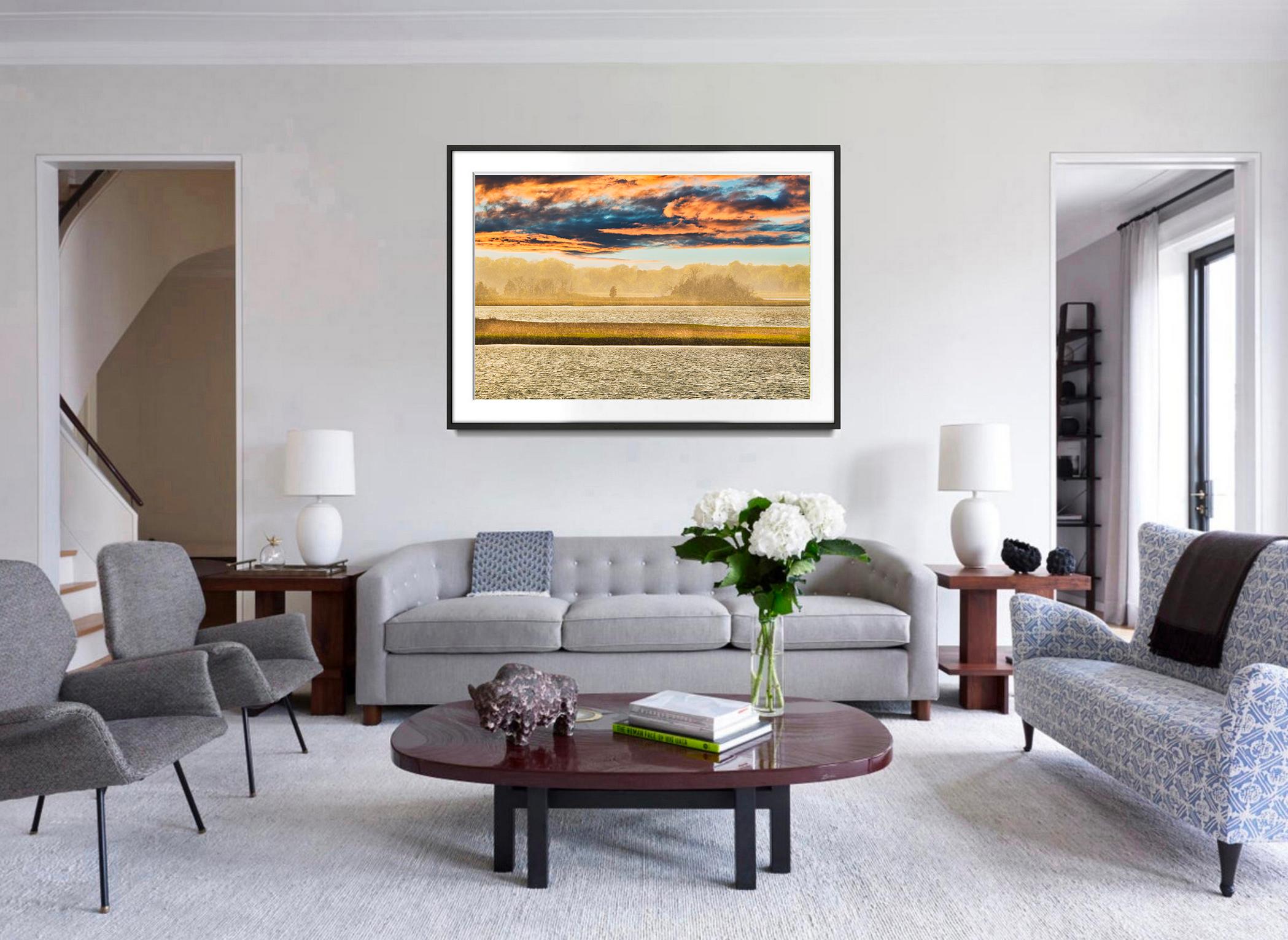 The stunning natural beauty of East Hampton's Louse Point is artistically recorded by photographer  Mitchell  Funk in a chorus of golden browns and  warm ochers.   
The picture is arranged in a series of horizontal bands depicting water, land,
