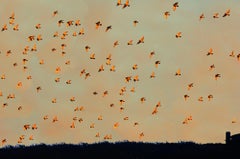 East Hampton Sky with Flock of Birds at Golden Sunset,   Abstract Photography