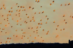 Sky with Flock of Birds at Golden Sunset, East Hampton   Photographies - Abstrait