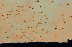 East Hampton-Wolken mit Vogelschwarm bei goldenem Sonnenuntergang,   Abstrakte Fotografie