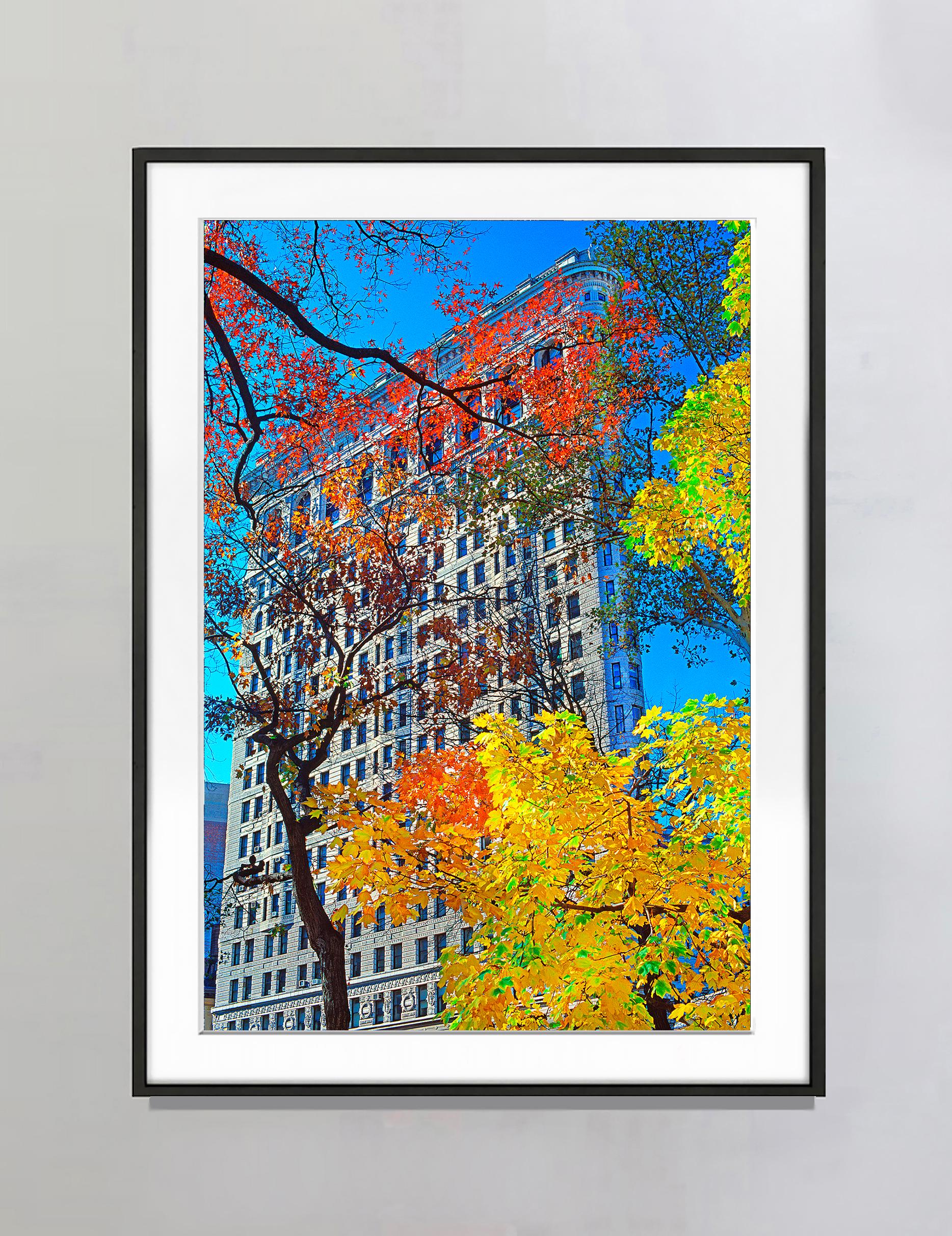 Romantic Flatiron Building in Autumn Colors of Orange and Yellow, Architecture - Photograph by Mitchell Funk