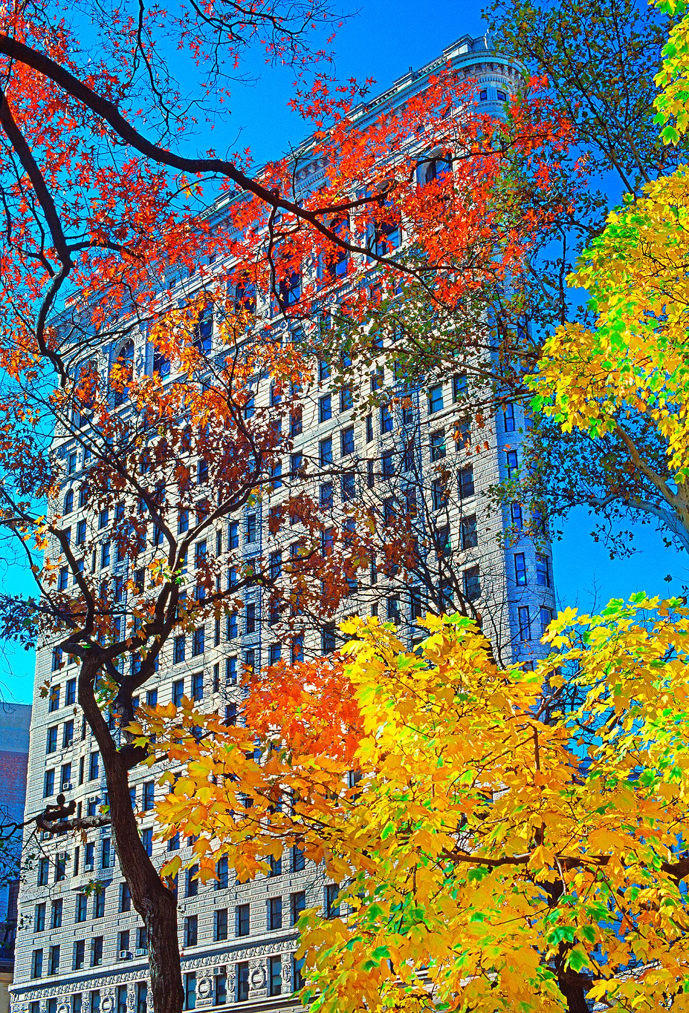 Romantico edificio Flatiron nei colori autunnali dell'arancio e del giallo, Architettura