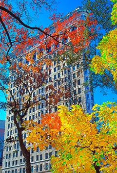 Romantic Flatiron Building in Autumn Colors of Orange and Yellow, Architecture