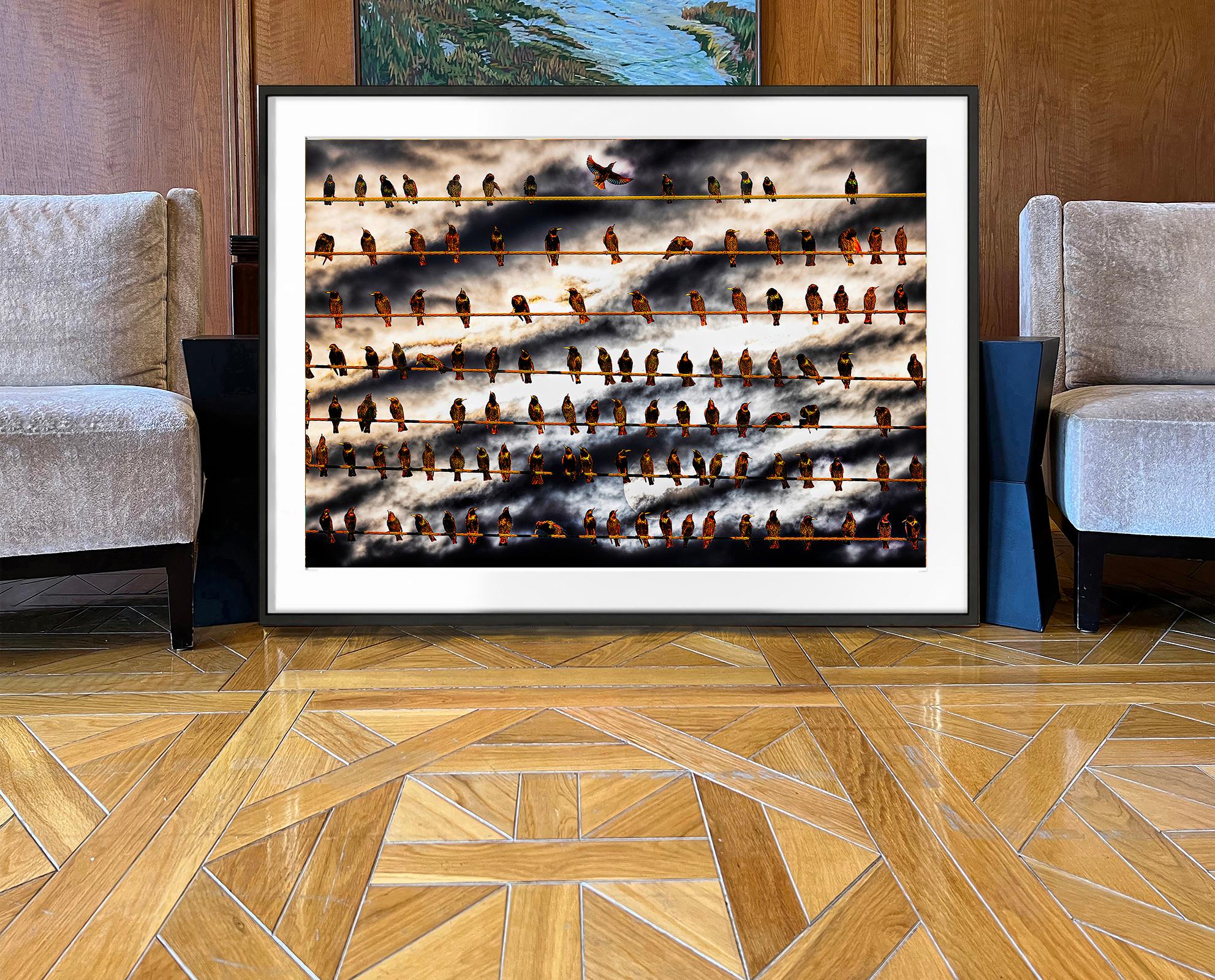Horloge d'oiseaux sur fil de fer contre des nuages dramatiques du ciel - Noir Landscape Photograph par Mitchell Funk