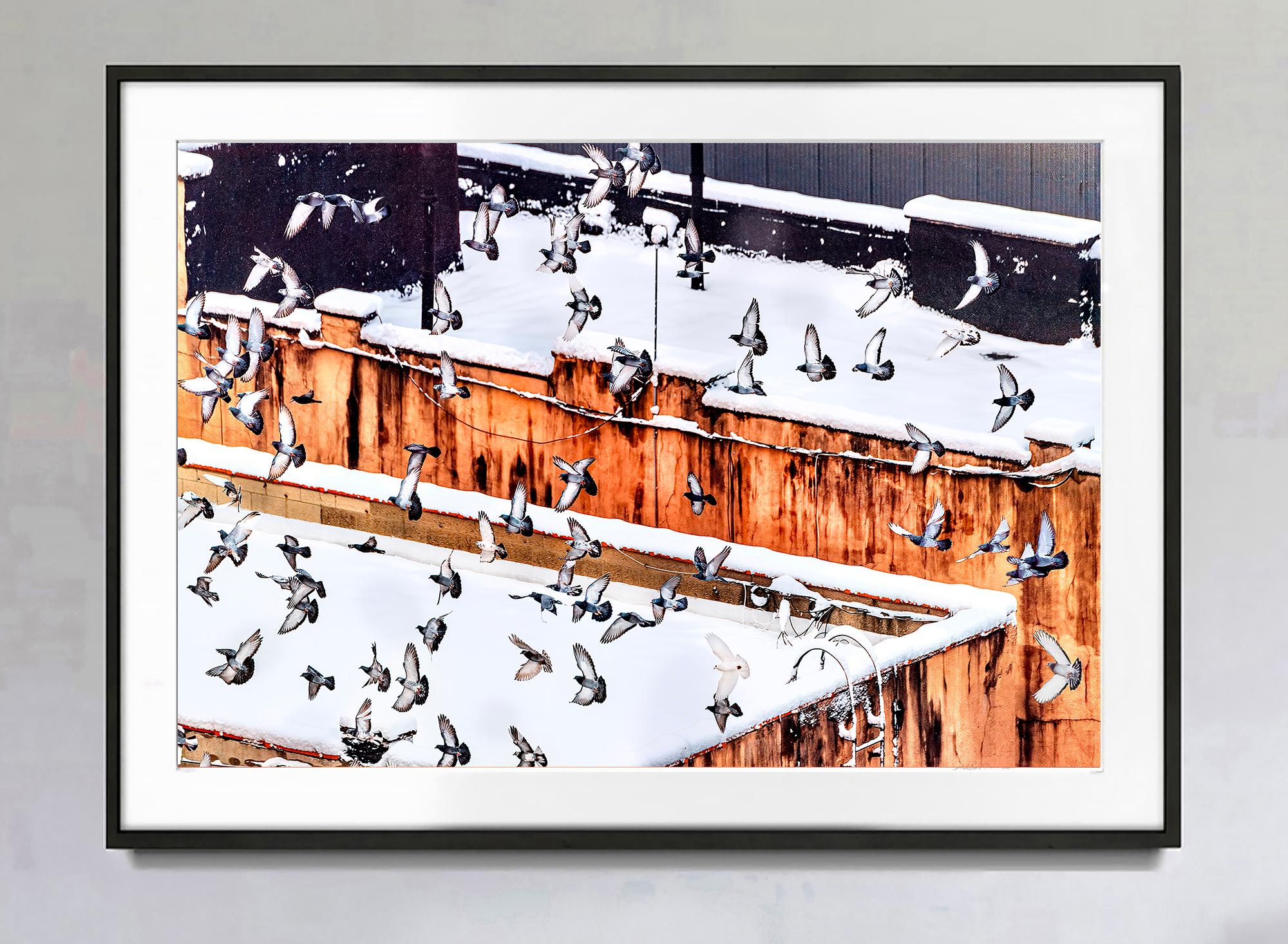  A flock of birds hovers above snow-covered Manhattan rooftops.  The image is as much about an overall composition in abstract art as it is a document of group avian behavior.  Signed, dated and numbered, 3/15 recto, unframed, printed later, other