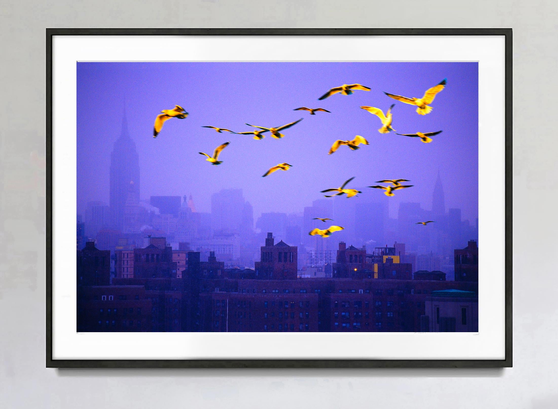 Flock of Golden Birds over Moody Manhattan Skyline at Dusk  - Photograph by Mitchell Funk