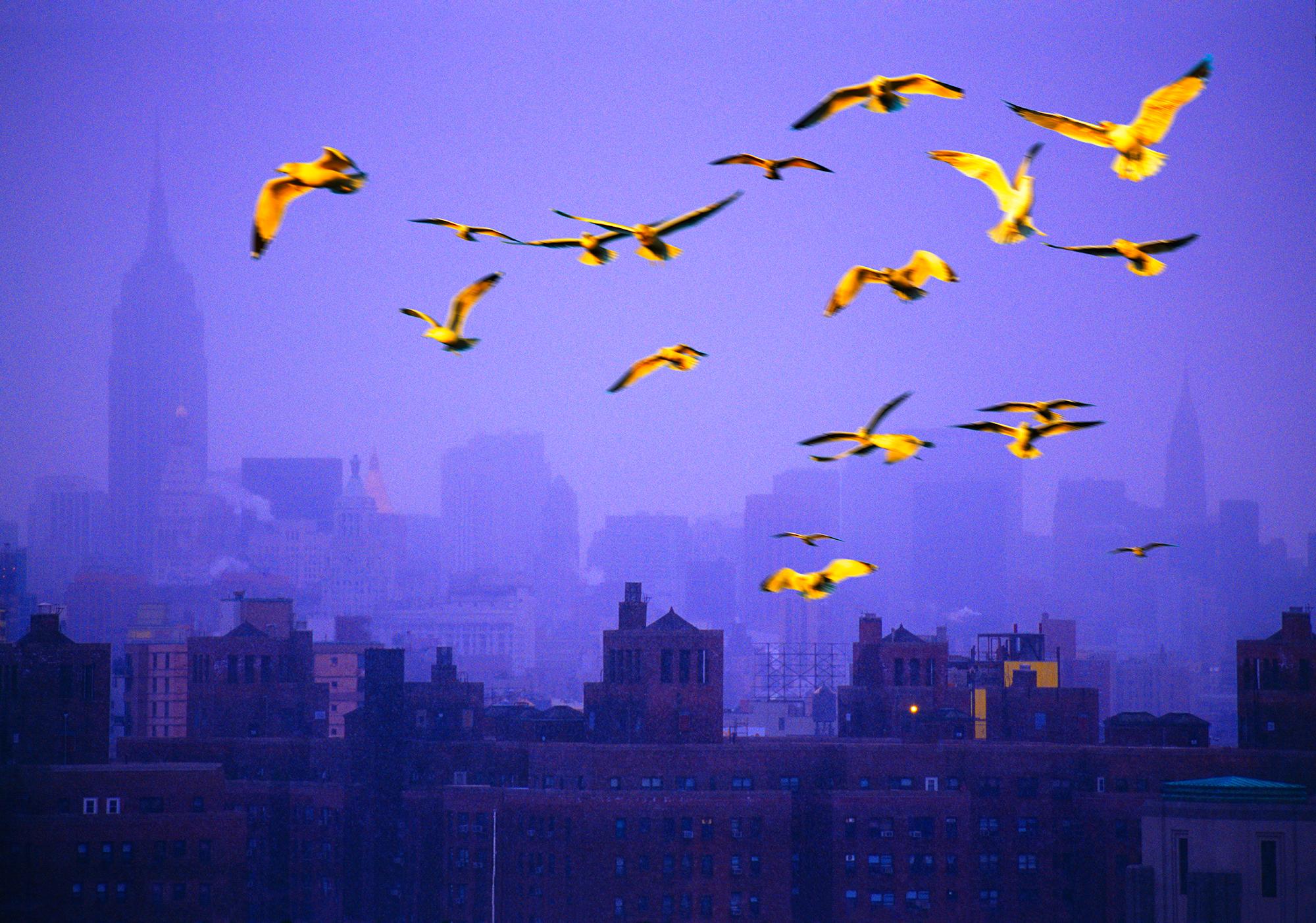 Horloge d'oiseaux dorés au-dessus de la ligne d'horizon Moody Manhattan au crépuscule 