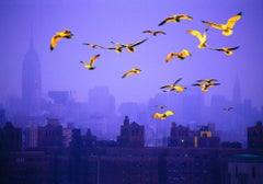 Flock of Golden Birds over Moody Manhattan Skyline at Dusk 