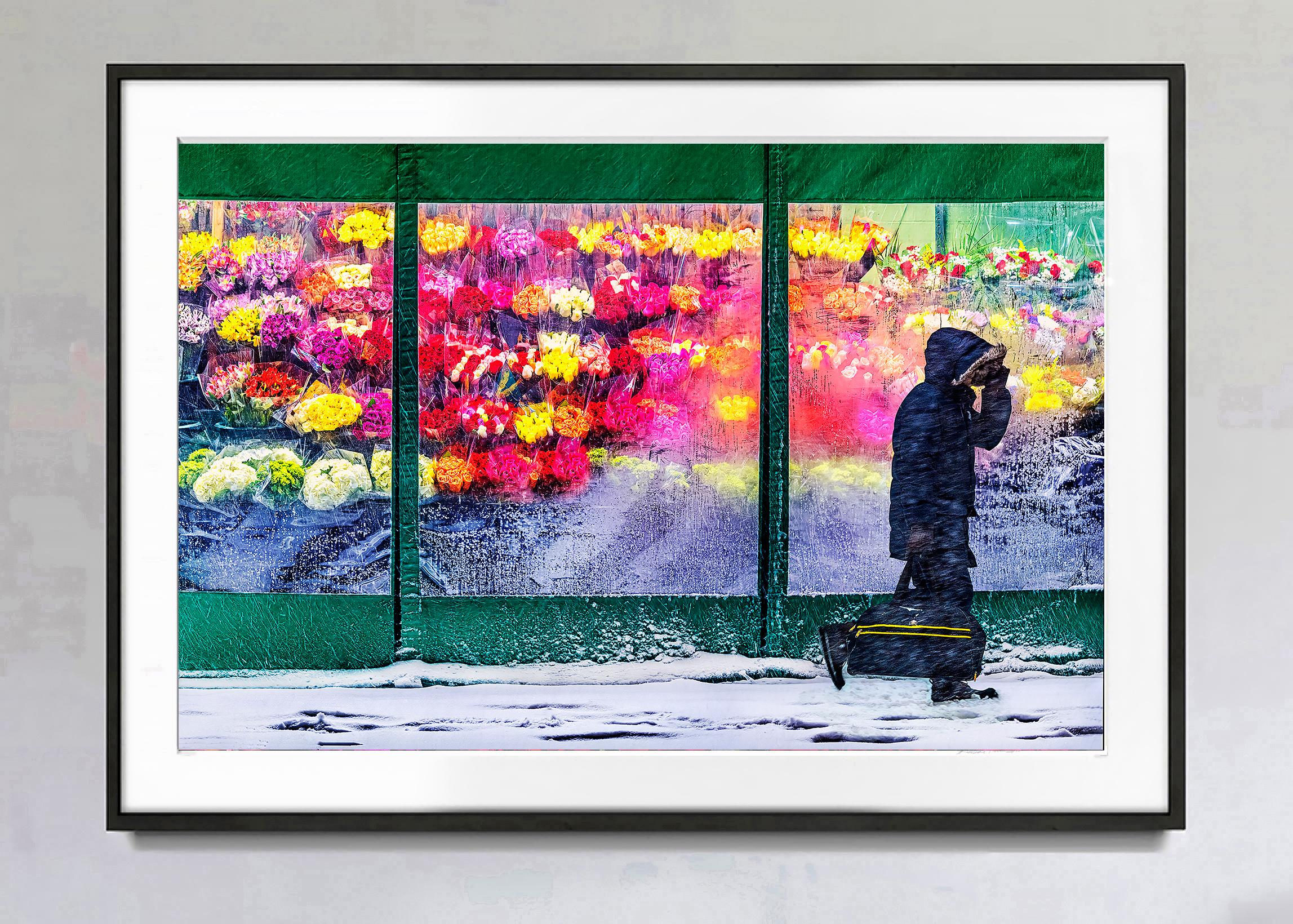 Flowers Melt Snowy New York - Joyful Red Roses on a Blustery Gloomy Day - Post-Impressionist Photograph by Mitchell Funk