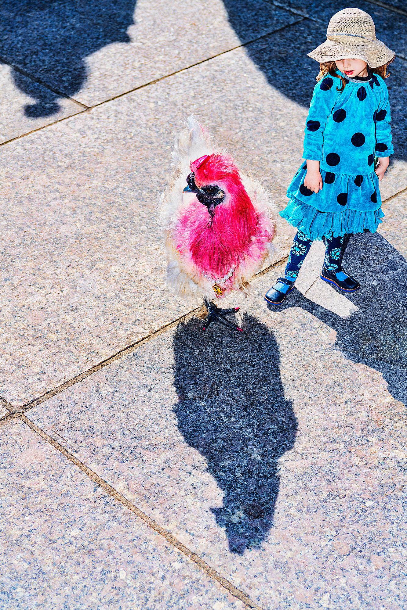 Mitchell Funk Color Photograph - Funky Red Chicken and Girl with Dreamy Blue Dress