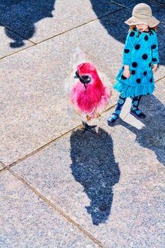 Pollo rosso e ragazza con vestito blu da sogno