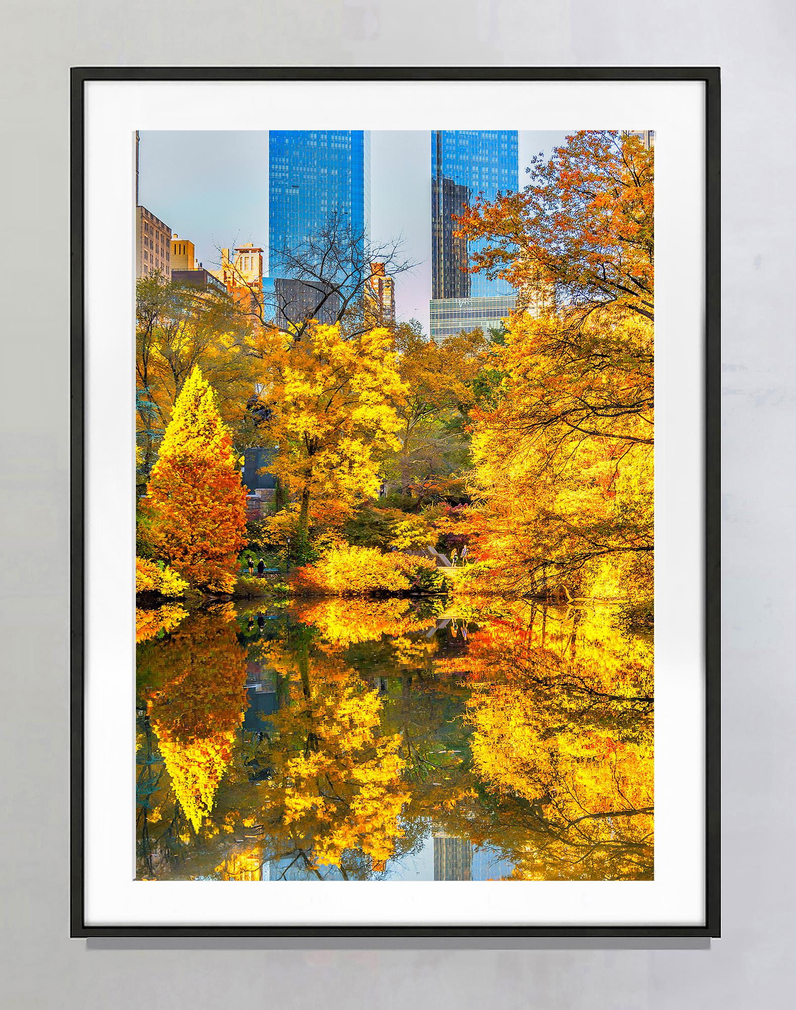Nature Photography in the City. Central Park's Autumn foliage is transformed into a delightful abstract pattern where natural organic shapes interact with the architectonic shapes of the surrounding skyscrapers.  Fine Art Photographer Mitchell Funk