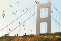 Golden Gate Bridge with Birds in Monochrome San Francisco