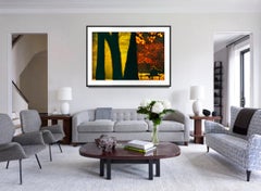 Luce dorata su una figura solitaria a Central Park  - Luce Angelica